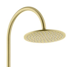 Celine Twin Shower Combo Brushed Gold